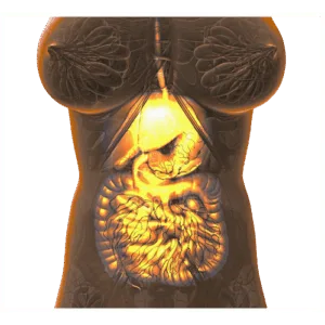 Endoscopy exam scope lights up internal organs, revealing infection risk.