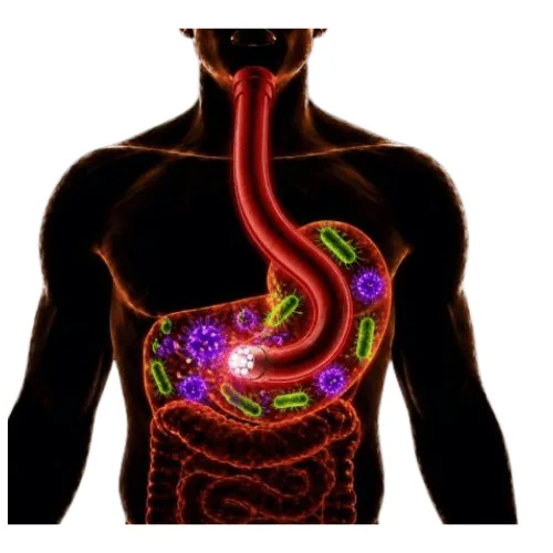 Endoscopy exam scope lights up internal organs, revealing bacterial and viral infections.
